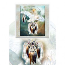 MAGNE-CARD GREETING CARD White Eagle Dreams